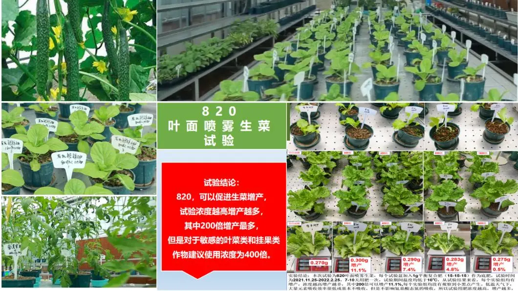 Agriculture Organic Foliar Fertlizer Amino Acid Chelate Micronutrients Cu Fe Zn Mn B Mo