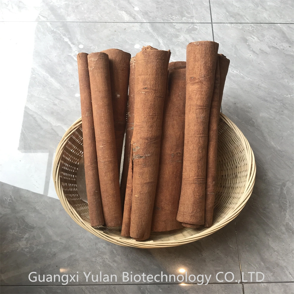 Plants Wholesale Cinnamon Cassia Bark Cinnamon Fragrance Cassia Tube