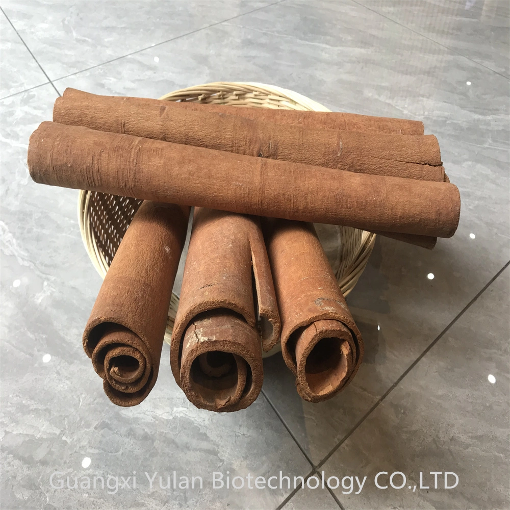 Plants Wholesale Cinnamon Cassia Bark Cinnamon Fragrance Cassia Tube